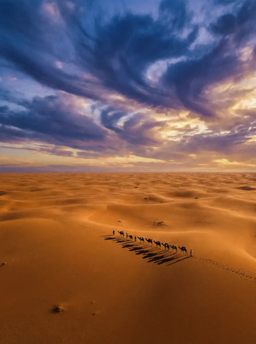 纪录片《丝路回响》 - 网红黑料 项目